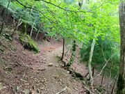 トシさんの熊野古道 小辺路の投稿写真4