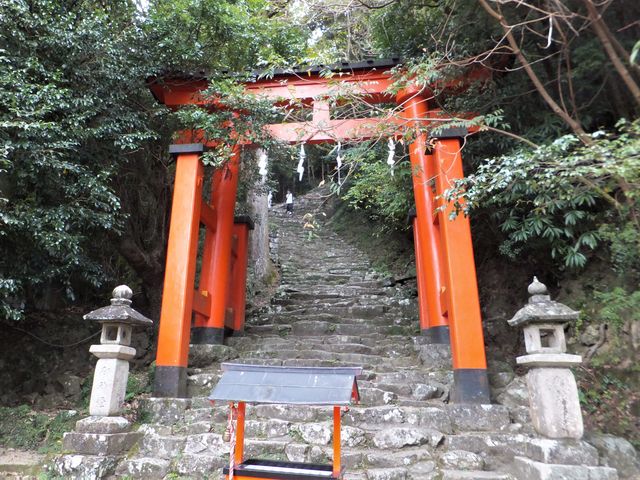 荒々しい石段が待ち構えています。_神倉神社