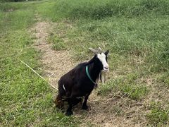 なべちゃんさんのちまんま広場への投稿写真1