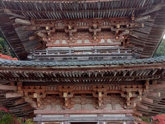 三重塔_壷阪寺三重塔