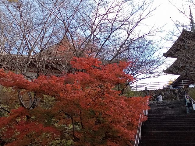 素晴らしい紅葉_壷阪寺三重塔