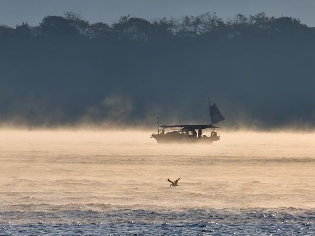 霧は少ないですが鳥と絡めて撮ることができました。_海霧