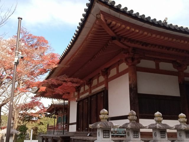 紅葉と壺阪寺本堂_壷阪寺禮堂