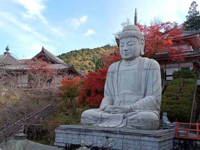 インドから運ばれた大仏様_壷阪寺禮堂