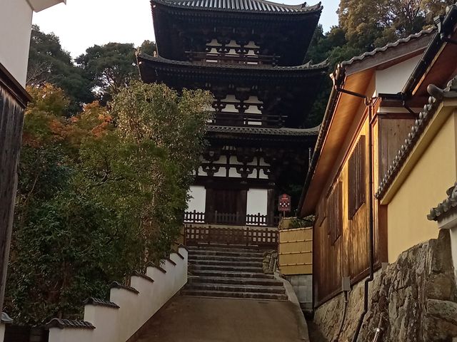 當麻寺三重塔_當麻寺奥院