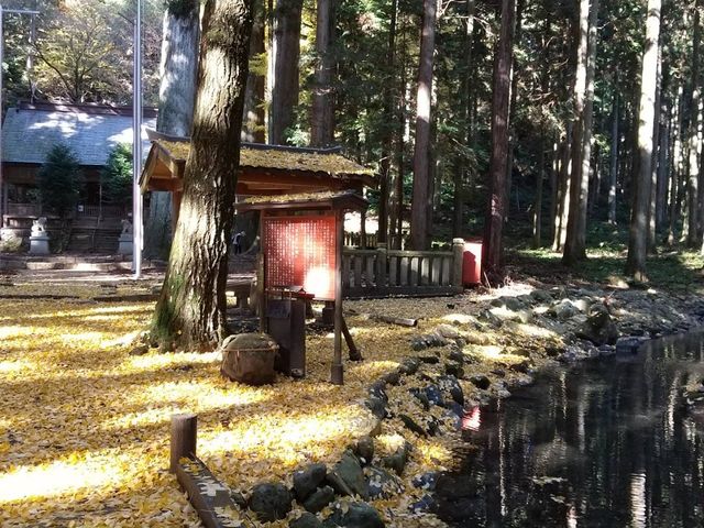 青玉神社_青玉神社
