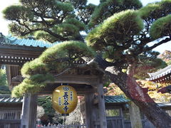 長谷寺の写真1