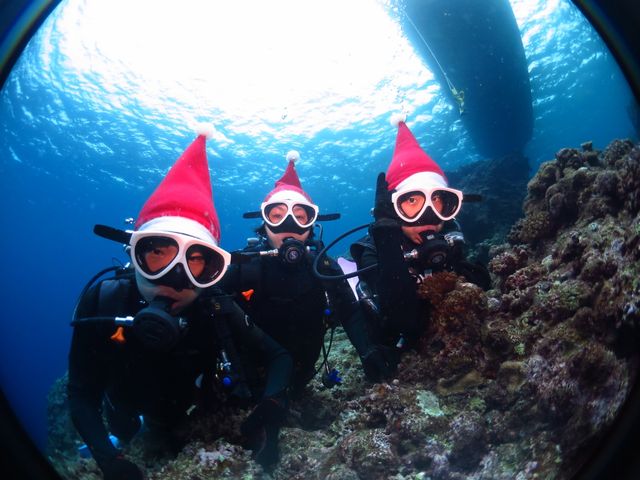 海の中からメリークリスマス!_カマンタダイビングクラブ