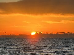 Seafari Japanの写真1