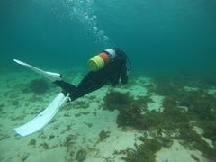 ココマジック石垣島の写真1