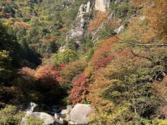 つばきさんの山梨交通株式会社への投稿写真1