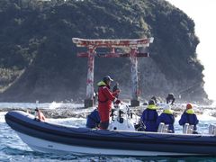 Seafari Japanの写真1