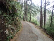 マイBOOさんの太竜寺山の投稿写真1