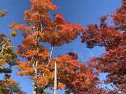 つばきさんの山梨交通株式会社の投稿写真2