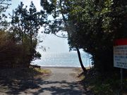 こぼらさんの岩代王子の投稿写真6