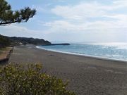 こぼらさんの岩代王子の投稿写真7