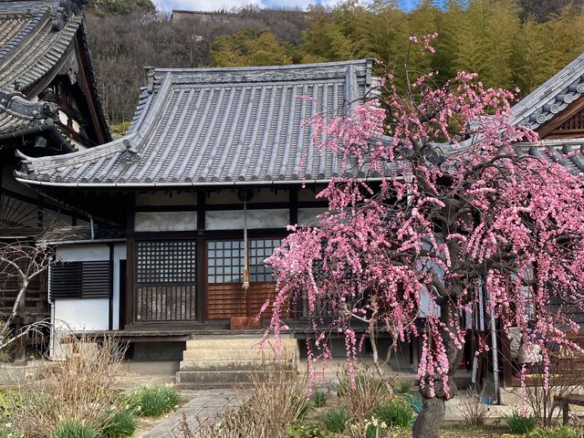 持光寺_持光寺