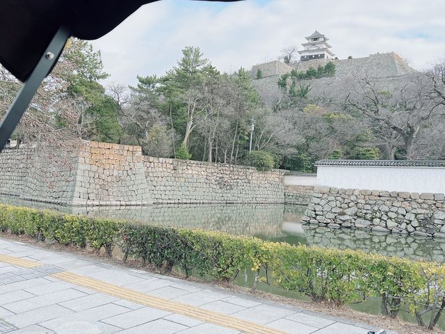 人力車から見た丸亀城_丸亀城お笑い人力車