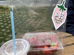 chachaさんのStrawberry Farm No.15 (the Farm UNIVERSAL いちご園)への投稿写真1