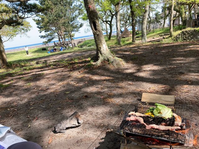 キャンプ_糸ヶ浜海浜公園