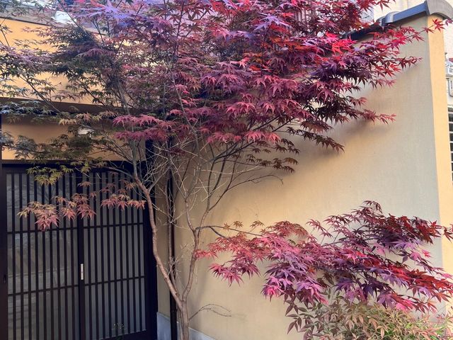 京都らしい京町屋でした、お外で撮影もでき記念にのこりました、ありがとうございます。_着物レンタルはんなり