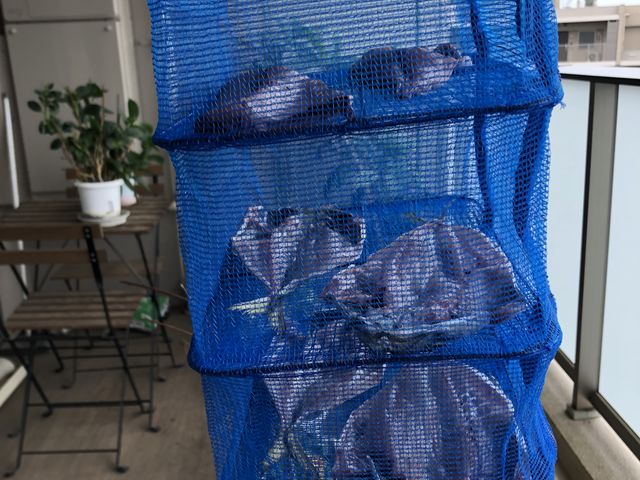 上手くできた!!_つり船房丸