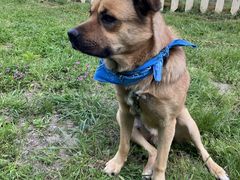 tokinohateさんのbbwonder landへの投稿写真1