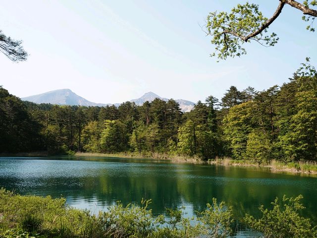 るり沼_五色沼自然探勝路
