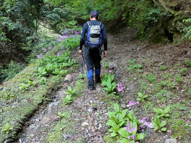 山屋さんの御嶽(三嶽)の投稿写真2