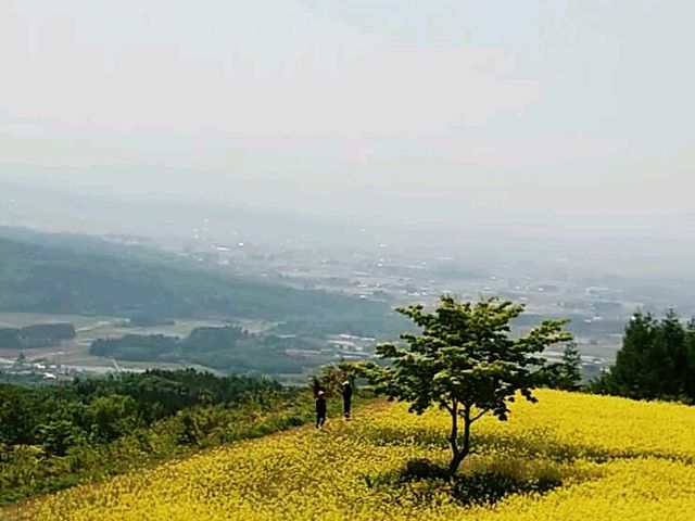 yu‐cyanさんの三ノ倉スキー場の投稿写真1