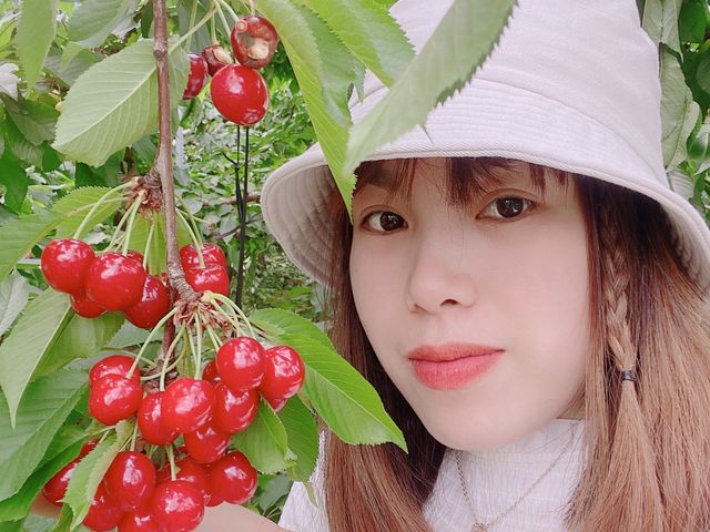 自分である写真_希望の丘農園