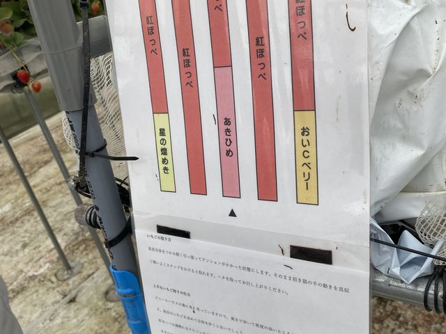 品種はこんな感じでした。時期によって変わるかもです。_いちごの森 あおやま