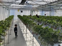 かいとさんのジットファームへの投稿写真1