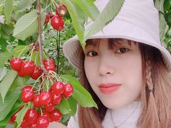 香りさんの希望の丘農園への投稿写真1