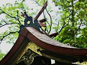 あっくんさんの尾山神社の投稿写真5