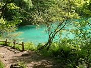 yu‐cyanさんの五色沼自然探勝路の投稿写真1