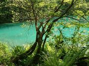 yu‐cyanさんの五色沼自然探勝路の投稿写真1