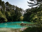 yu‐cyanさんの五色沼自然探勝路の投稿写真1
