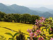 yu‐cyanさんの三ノ倉スキー場の投稿写真1