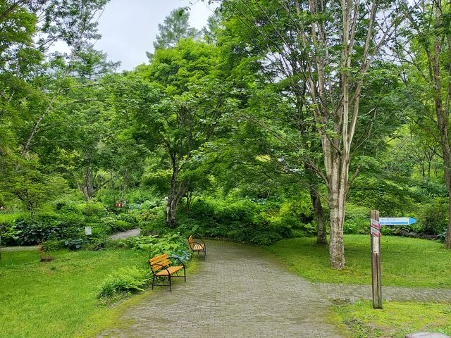 緑に包まれたガーデン_軽井沢絵本の森美術館(ムーゼの森)