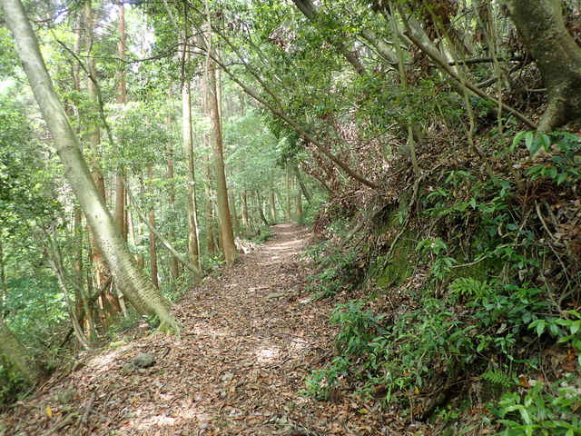 尾鈴山