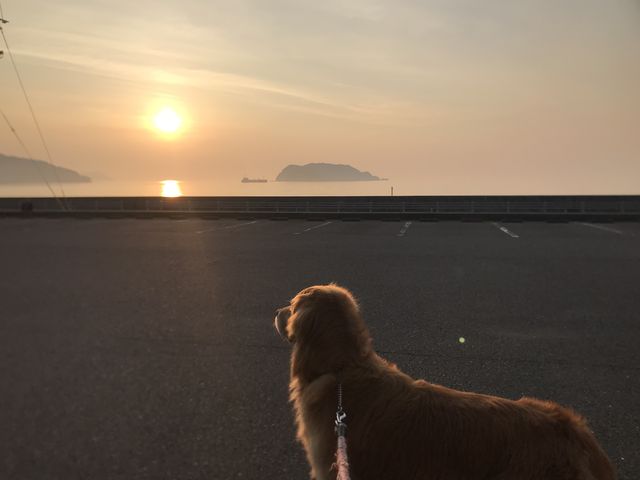 天候に恵まれ日の出も正月!
気持ちの良い朝でした。_あまべの郷 関あじ関さば館