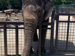 那須サファリパークの写真1