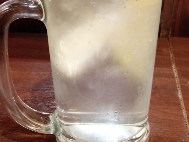 レモンサワー_串かつだるま アルデ新大阪店