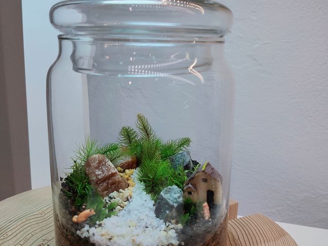 どんな風に成長するか楽しみ_Terrariums 吉祥寺店 by Feel The Garden