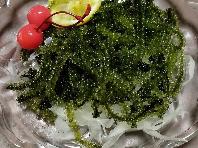海ぶどう_ちゅらさん