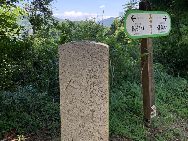 スターさんの蔦の細道の投稿写真1