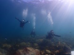 ちぃさんのDIVE&HOUSE FUTOへの投稿写真1