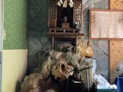 シトラさんの泉岳館の投稿写真3