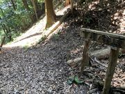 スターさんの宇津ノ谷峠の旧東海道の投稿写真1